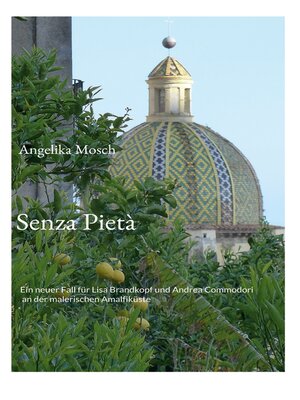 cover image of Senza Pietà